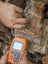 Dry Casuarina Firewood Carousel 5