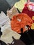 27 TOPS BULK BUNDLE - 6/XS Carousel 5