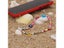 Colorful Acrylic Bead Smile Mobile Phone Chain Cellphone Strap Anti-lost Carousel 4