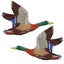 Loading Image 1 of 3