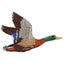 Loading Image 2 of 3
