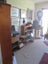 ANTIQUES/ART BUSINESS IN SUNNY NELSON Carousel 15