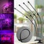 Brand New Grow Lights Indoor Plants LED Grow Lights UV Lamps *Clearance* Carousel 7