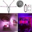 Brand New Grow Lights Indoor Plants LED Grow Lights UV Lamps *Clearance* Carousel 1
