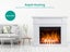 Electric Fireplace Carousel 13