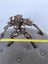 Predator Handmade Metal Sculpture Carousel 16