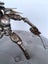 Predator Handmade Metal Sculpture Carousel 14