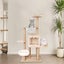 PTN NEW Cat Tree Sale Sale Carousel 6