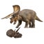 Loading Image 1 of 6