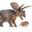Loading Image 2 of 7