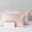 Beautysilks Silk 2 Pack Pillowcases Hypoallergenic Soft Smooth Hair and Skin Carousel 12