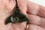 WHALE TAIL /KORU PENDANT TOTOWEKA POUNAMU Carousel 2