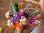 LEGO 10280 Flower Bouquet BRAND NEW SEALED Carousel 3