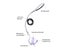 2M Adjustable Bird Parrot Harness Leash Kit Outdoor Flying Training Rope With Carousel 4