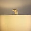 Giraffe Standing Table Lamp - White Carousel 8