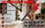 New Cordless Leaf Blower Clearance Sale Carousel 3