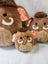Squishmallow Mammoth Bulk Lot x3 Carousel 3