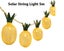 String Lights Night lights - (NZ CLEARANCE) Carousel 1