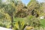 gallery view thumbnail