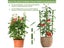 90cm Adjustable Tomato Cage 36 Inches Plant Support Cages Cucumber Trellis For Carousel 4