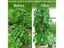 90cm Adjustable Tomato Cage 36 Inches Plant Support Cages Cucumber Trellis For Carousel 5