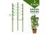 90cm Adjustable Tomato Cage 36 Inches Plant Support Cages Cucumber Trellis For Carousel 1
