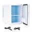 4L Mini Fridge Portable 12V Car Refrigerator Cooler Freezer for Drinks Cosmetic Carousel 12