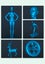 Creality SCAN Ferret SE 3D Scanner Carousel 13