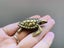 Vintage Style Retro handcrafted Swimming Tortoise Miniature Ornament Carousel 3