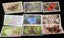 CG 6602 - Original Tobacco Cigarette Card - Grandee British Butterflies - 1983 Carousel 1