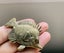 Antique Style Fish Standing Miniature Figurine Carousel 1
