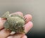 Antique Style Fish Standing Miniature Figurine Carousel 4