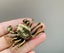 Antique Style Crab Figurine Ornament Brass Sculpture Decor Carousel 1