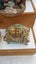 Bears lot Carousel 4