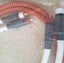 Audio Magic Excalibur SHD RCA Carousel 3
