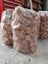 Biofuel briquettes Carousel 1