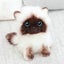 soft Stuffed Plush Toy Simulation Siamese Cat Plush Toy Blue Sequins Eyes Cat Carousel 2