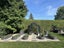Fairway Obsidian Haven Glasshouse 8x10ft Carousel 7