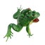 Loading Image 1 of 3