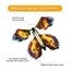 20 Pcs Magic Fairy Flying Butterfly, Flying Paper Butterflies Rubber Ba Carousel 4