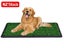 Dog Training Toilet Carousel 1