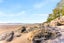 gallery view thumbnail
