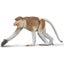 Loading Image 1 of 2