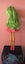 Monster High Jinafire Long Carousel 6