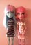 Monster High create a Monster 2 dolls Carousel 4