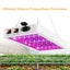 LED Grow Light - (NZ CLEARANCE) Carousel 6
