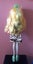 Monster High Lagoona Blue Carousel 12