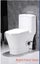 Toilet Suite - One Piece Skew - Left / Right Hand Trap SL-039 Carousel 3