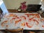 DIAMOND DOTZ ‘Coy Carp’ Very Large Kit, Small Part Done Carousel 1