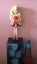 Ever after high Apple White doll Carousel 5